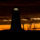 Illustration for article titled Shooting Challenge Silhouettes Gallery 3